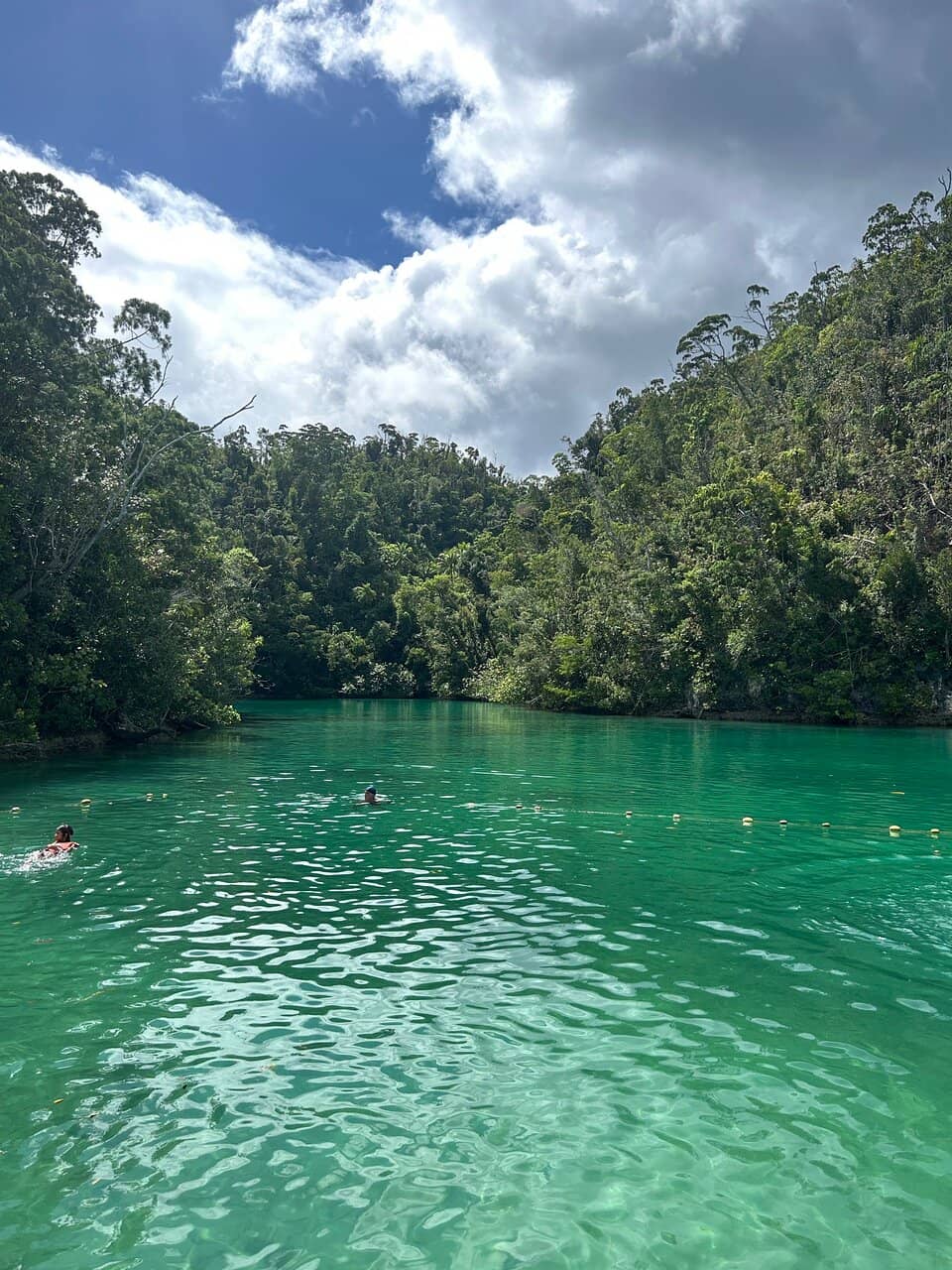 Crystal Clear Waters