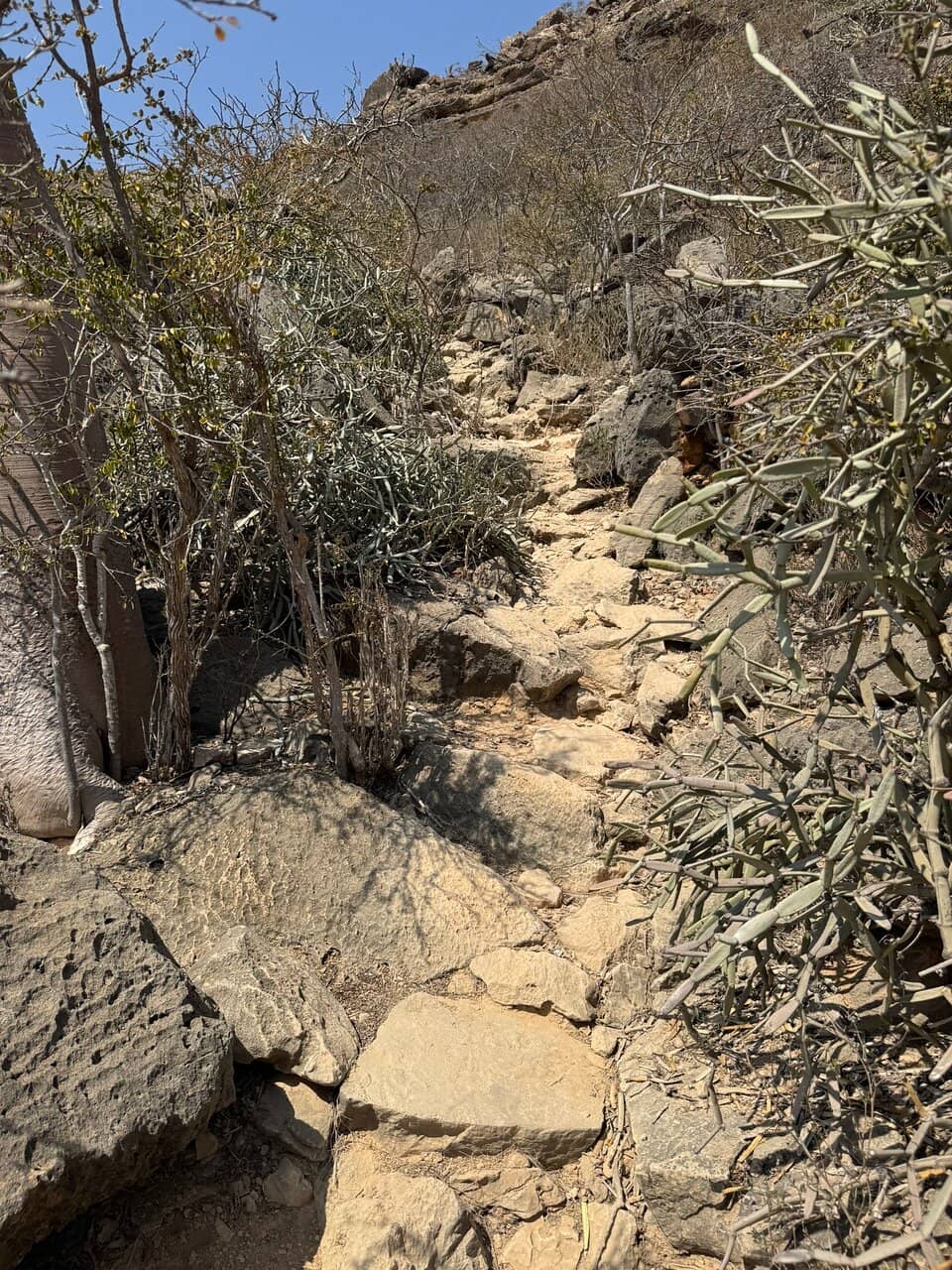 Malachite Swimming Pools