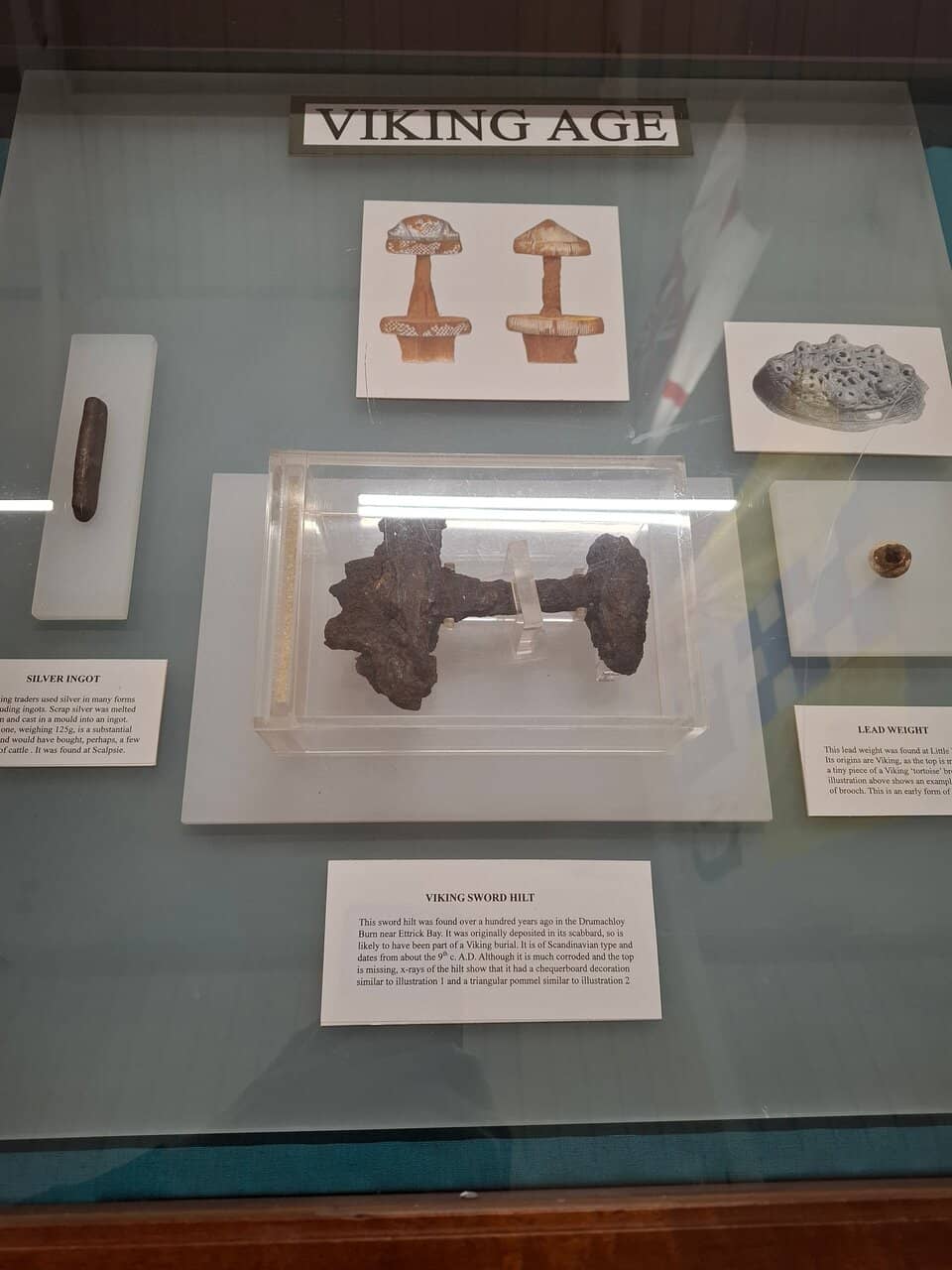 Wildlife & Natural History