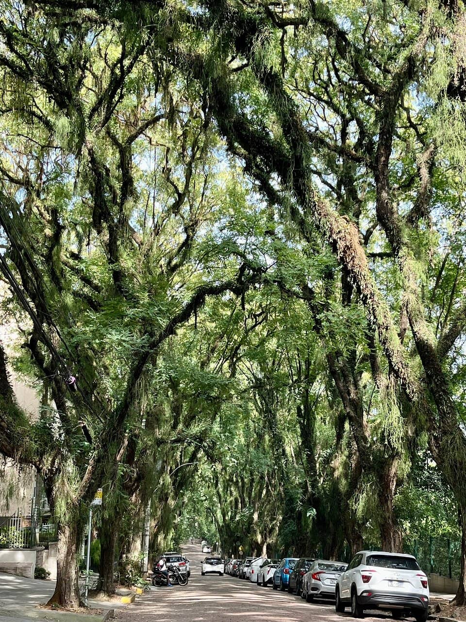 Vertical photo