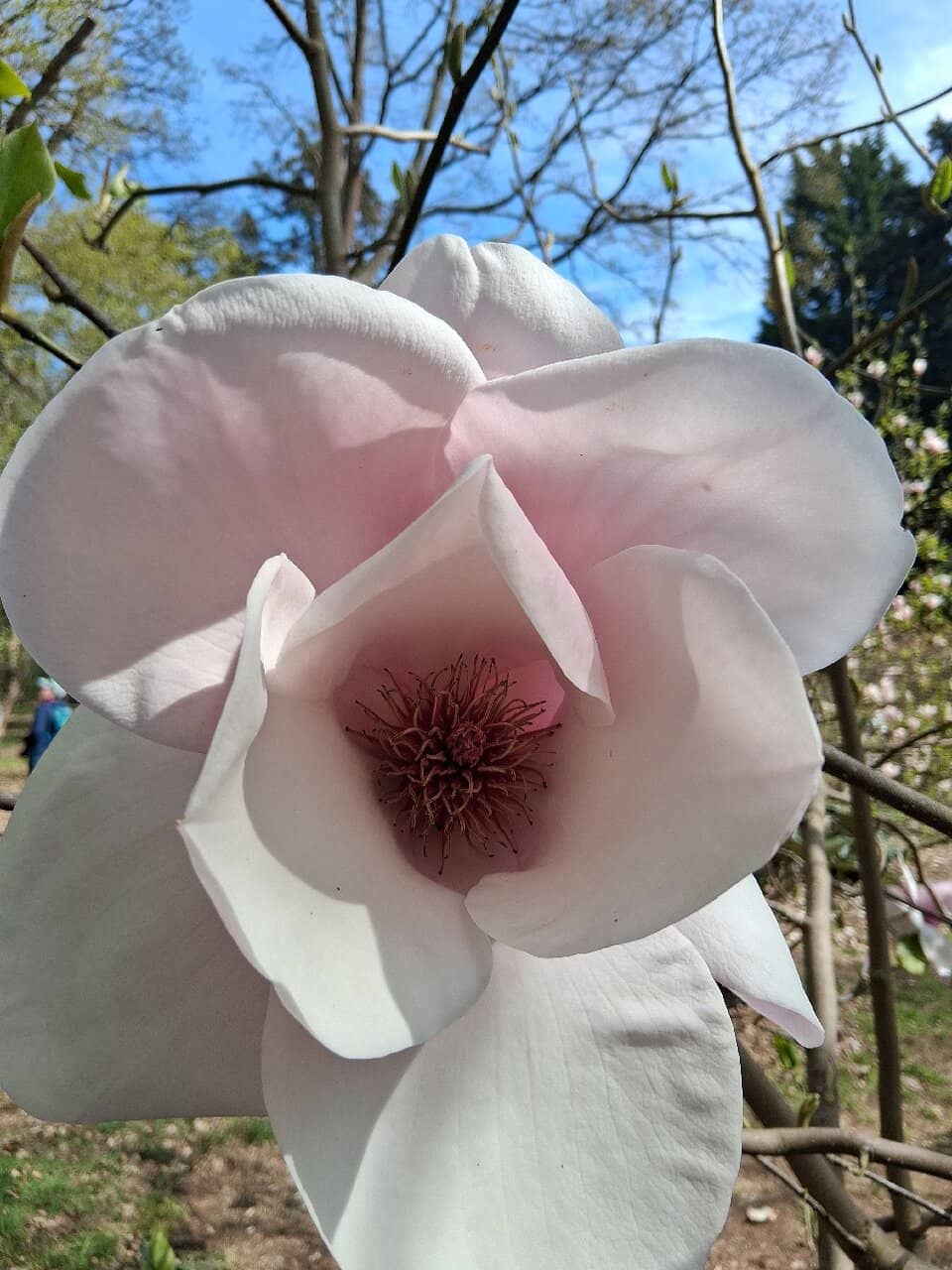 Vibrant Autumn Colors