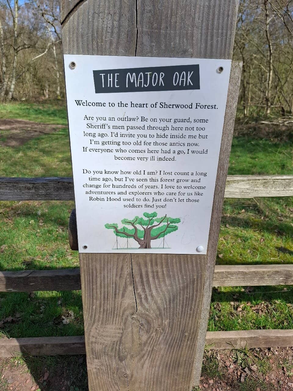 Sherwood Forest Trails