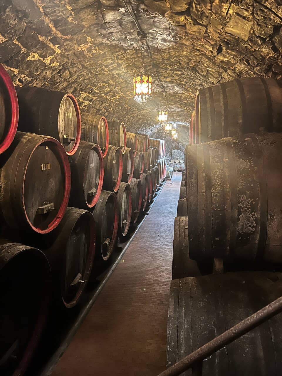 Wine Tasting Experience