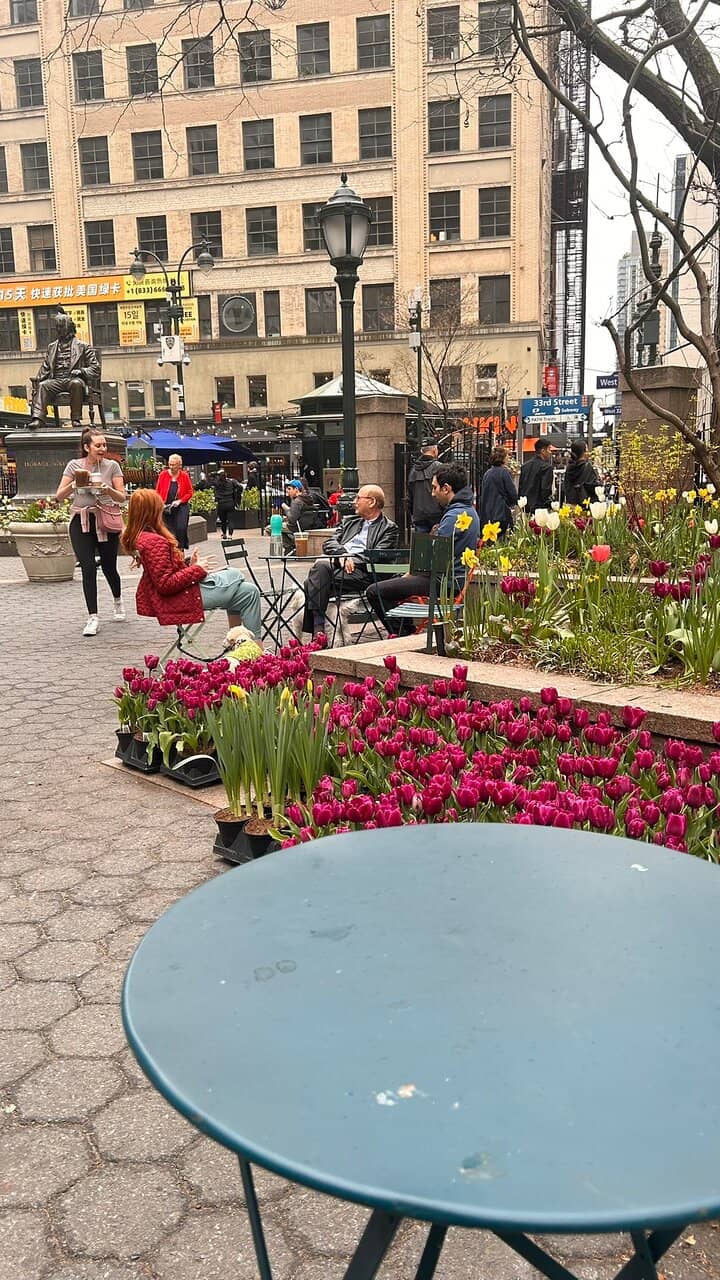 Greenery and Seating