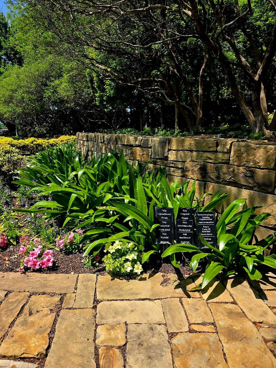 Peaceful Walking Paths