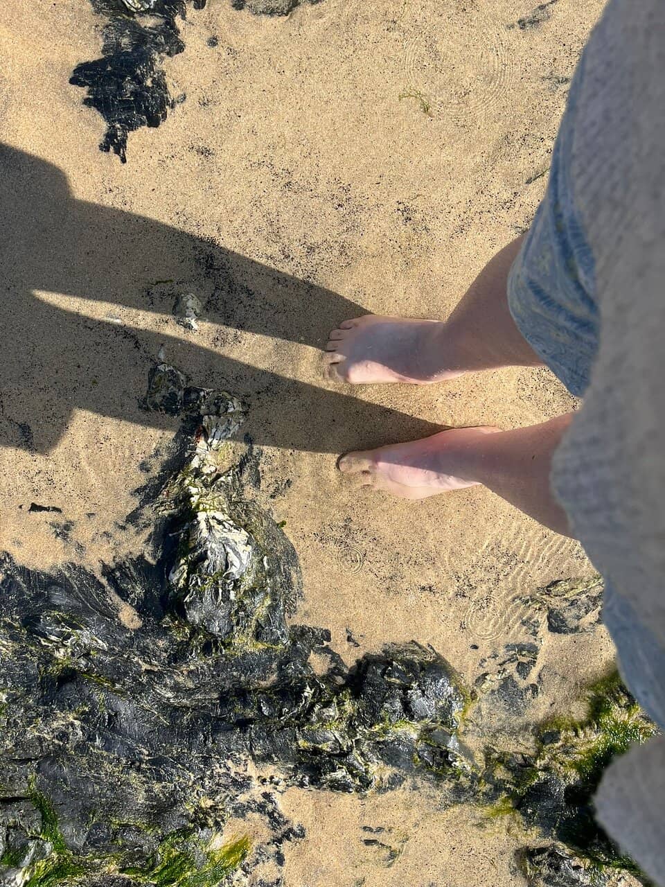 Vertical photo