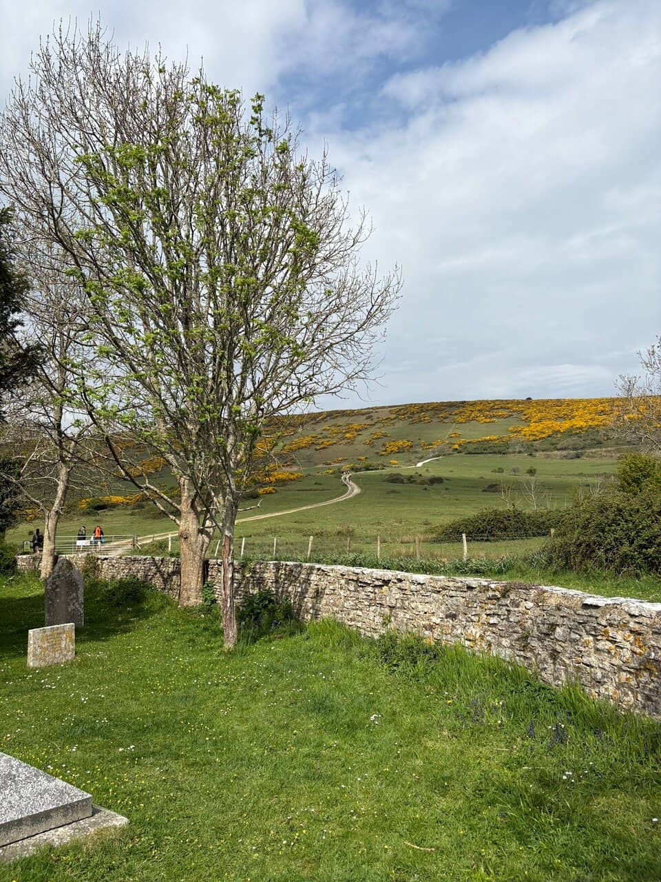 Tyneham Church
