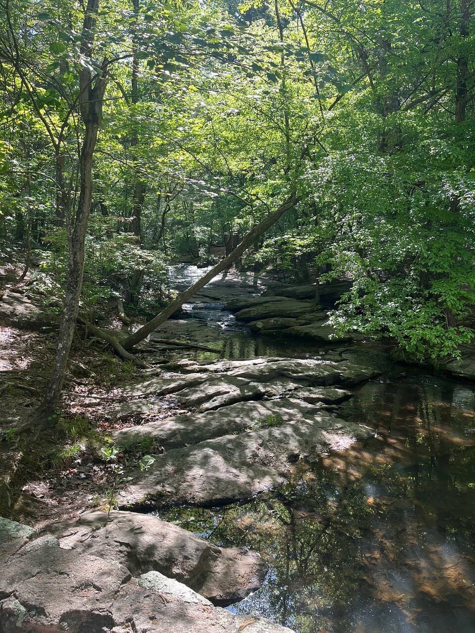Salem Lake Trail