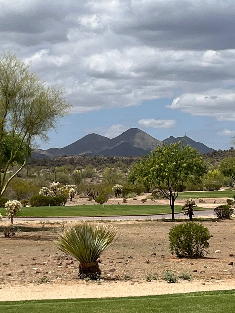 Cholla Course