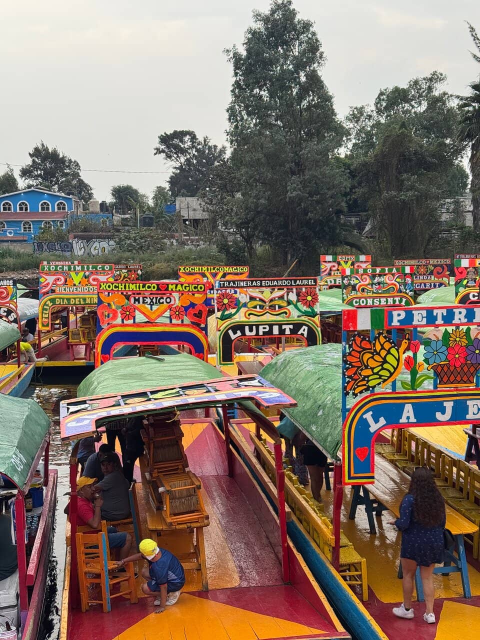 Tequila & Mezcal Tasting