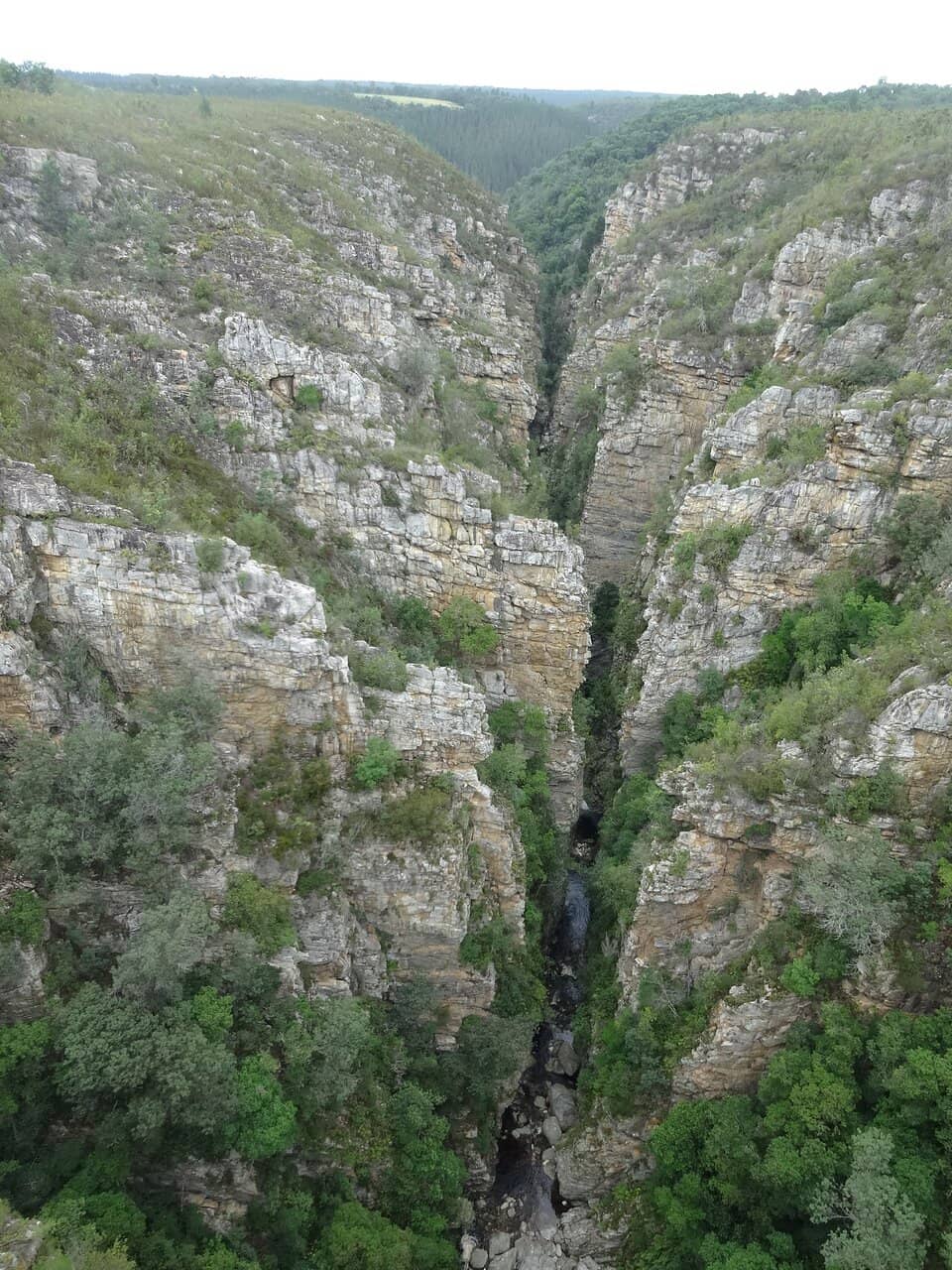 Storms River Gorge Views