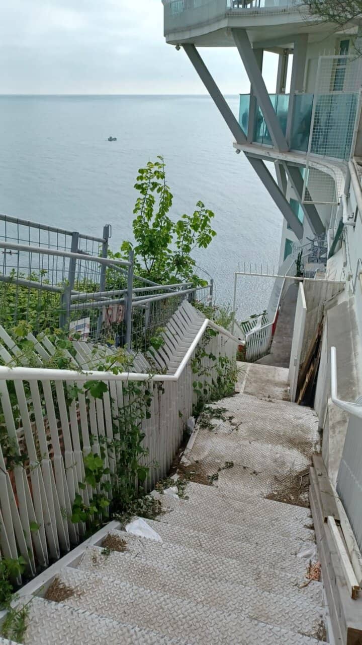 Vertical photo