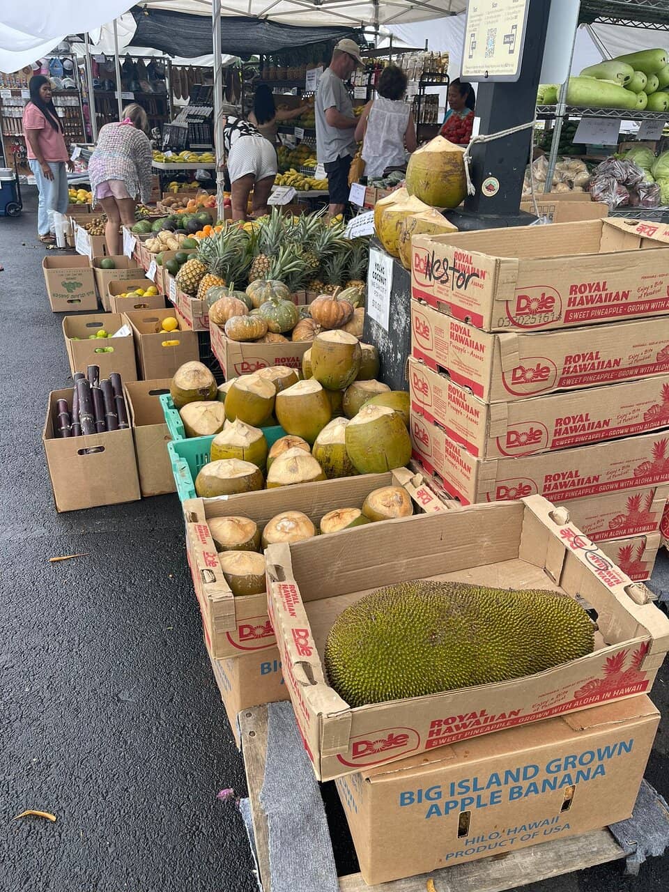 Tropical Fruit Paradise