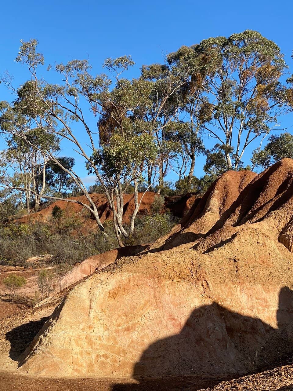 The Pink Clay Cliffs