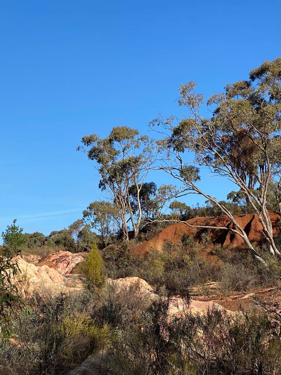 Historical Gold Mining Scars