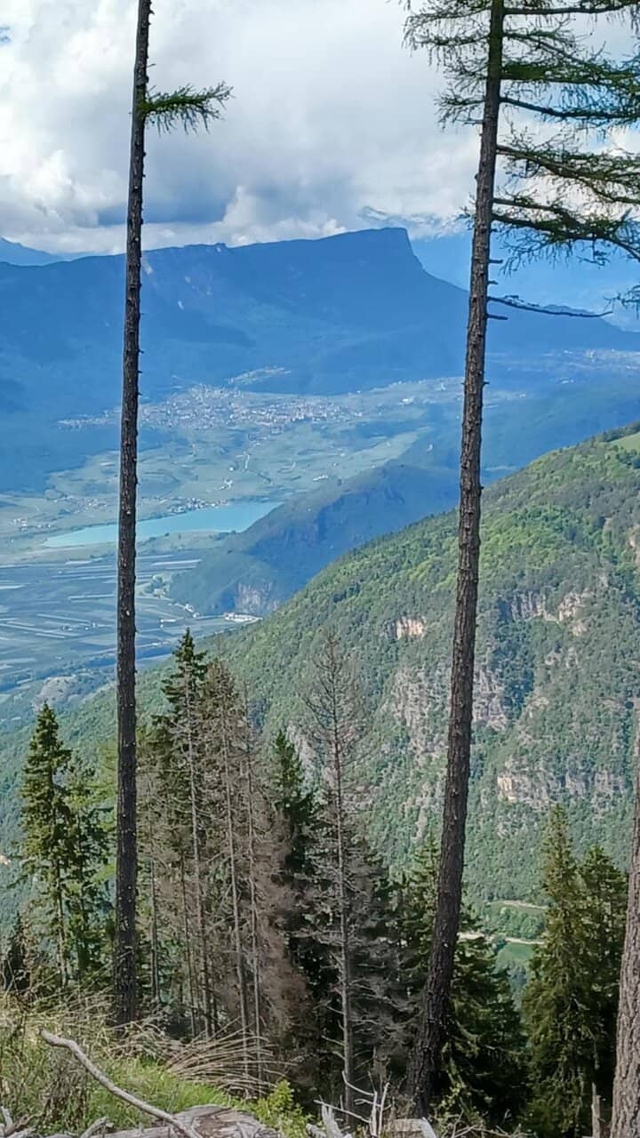 Varied Hiking Trails