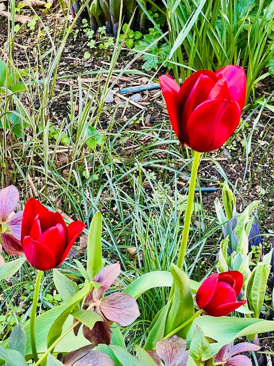 Historical Castle Exploration