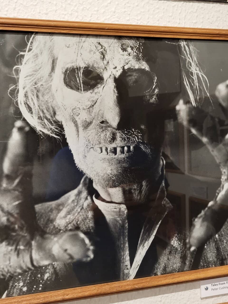 Oyster & Maritime History