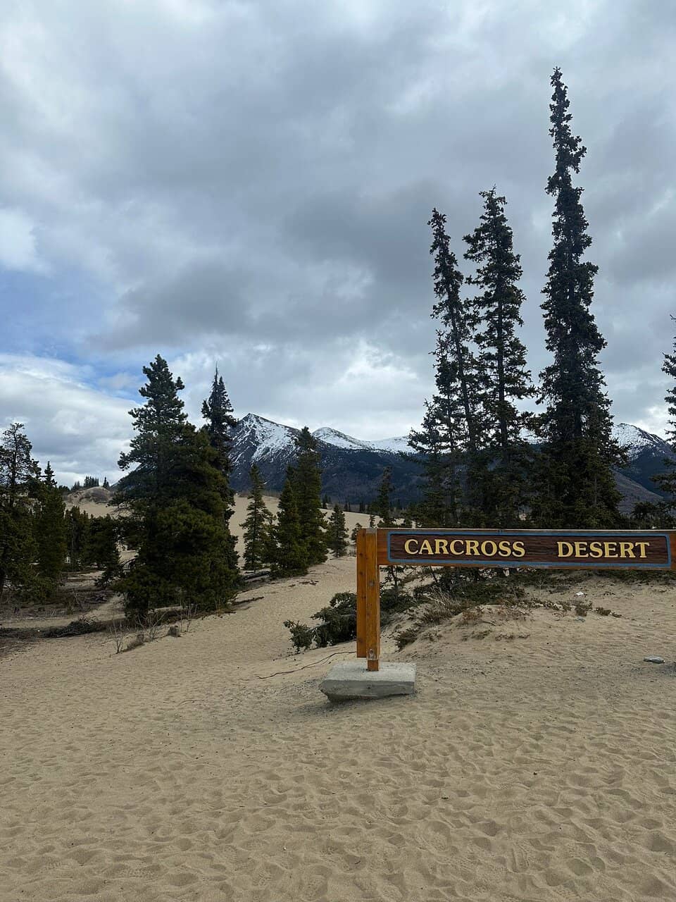 Interpretive Signage