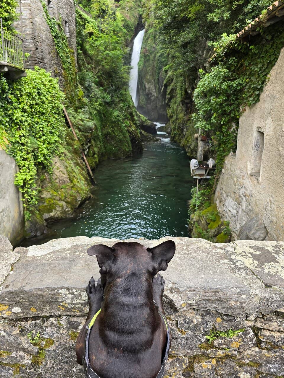 Vertical photo