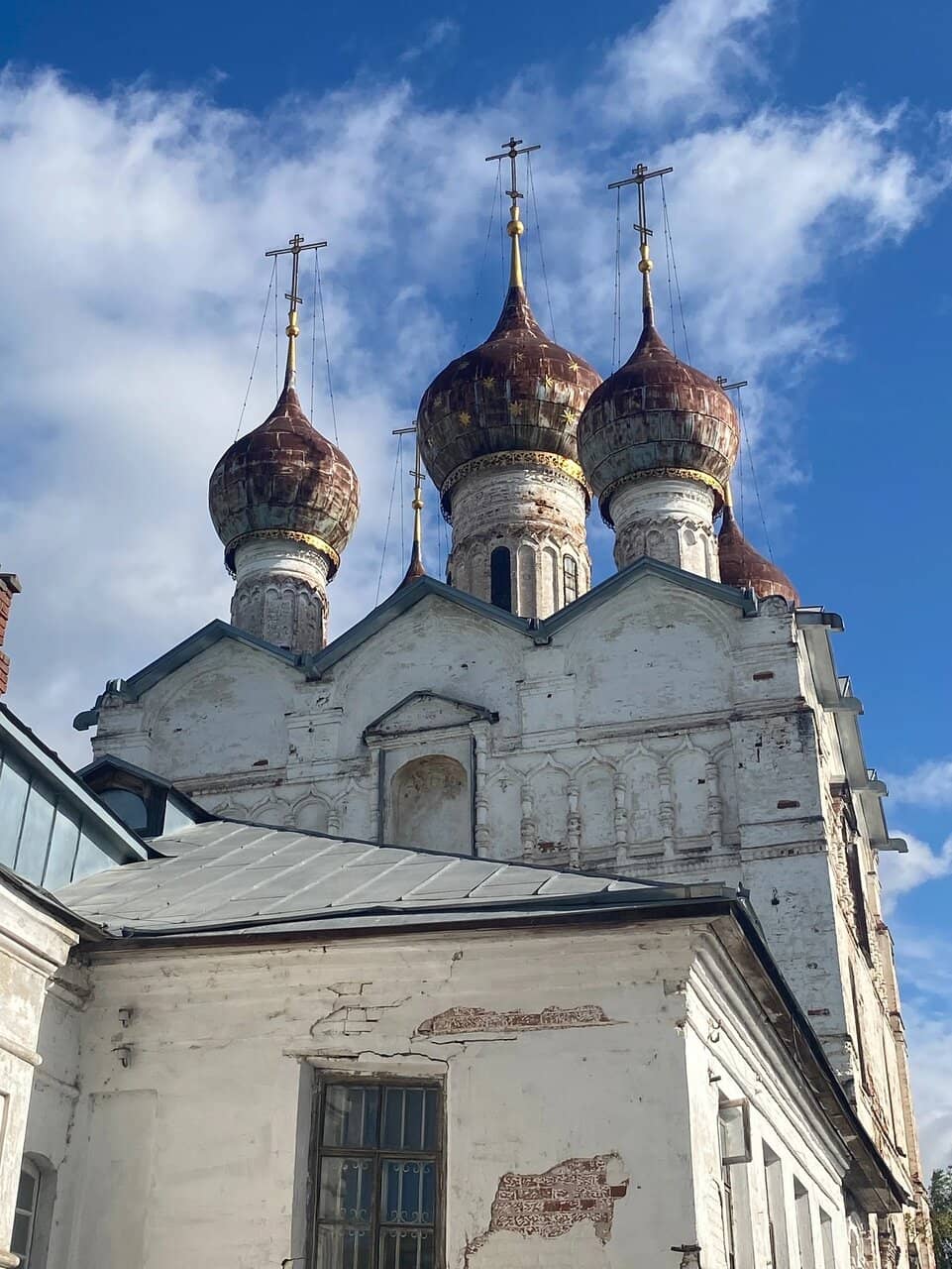Vertical photo
