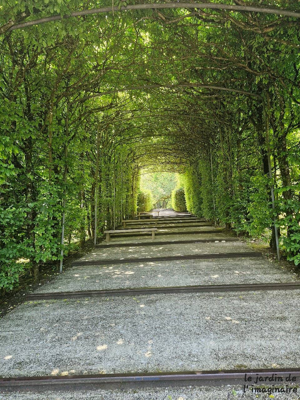 Rose Garden