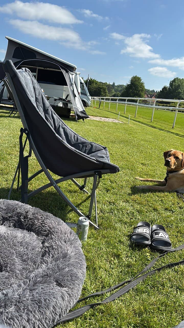 Guinness Vending Machine