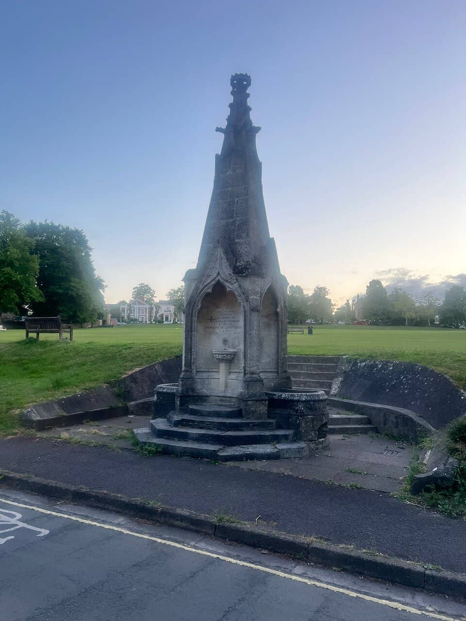 Expansive Grassy Fields