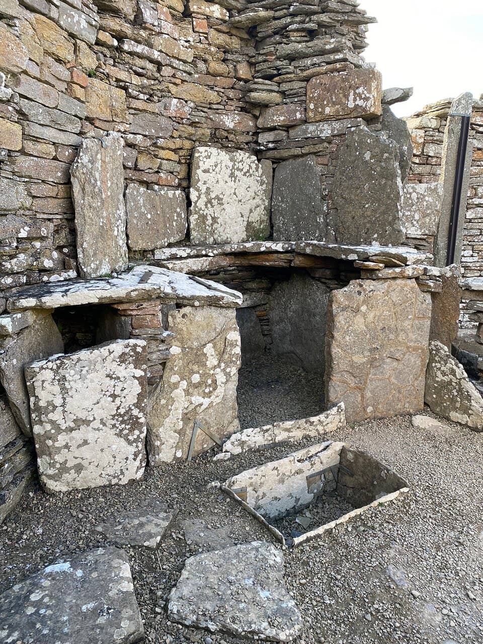 Coastal Views and Wildlife