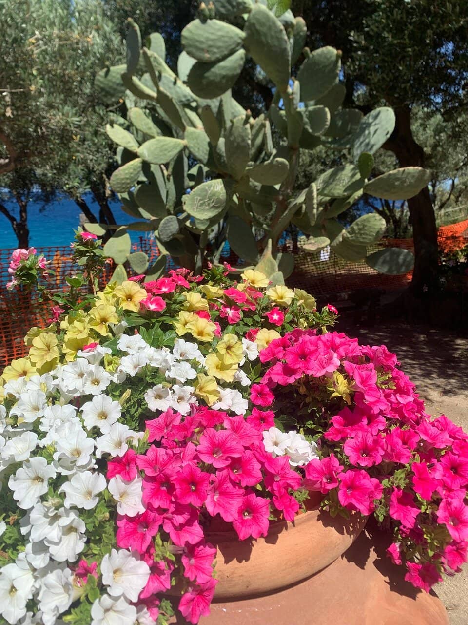 The Sanctuary's Interior