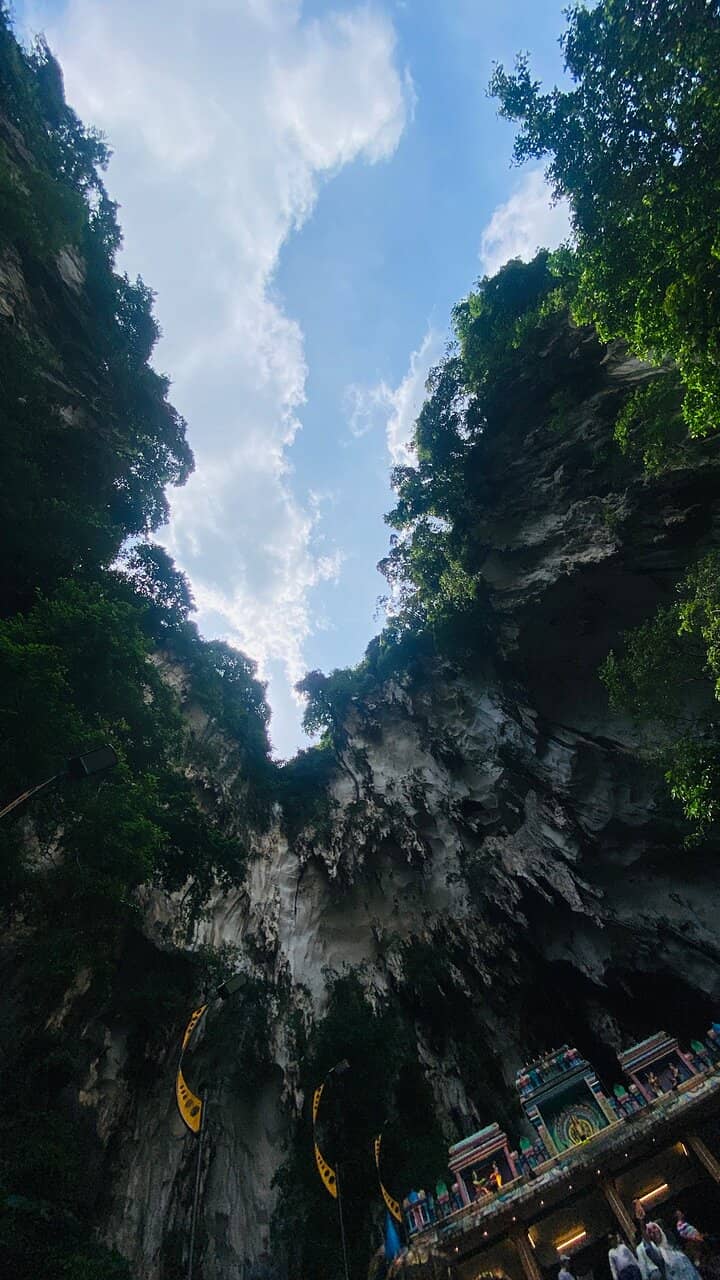 The Reflective Surface