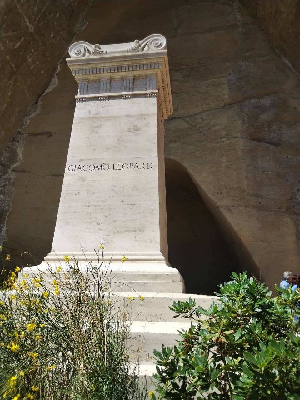 Panoramic City Views