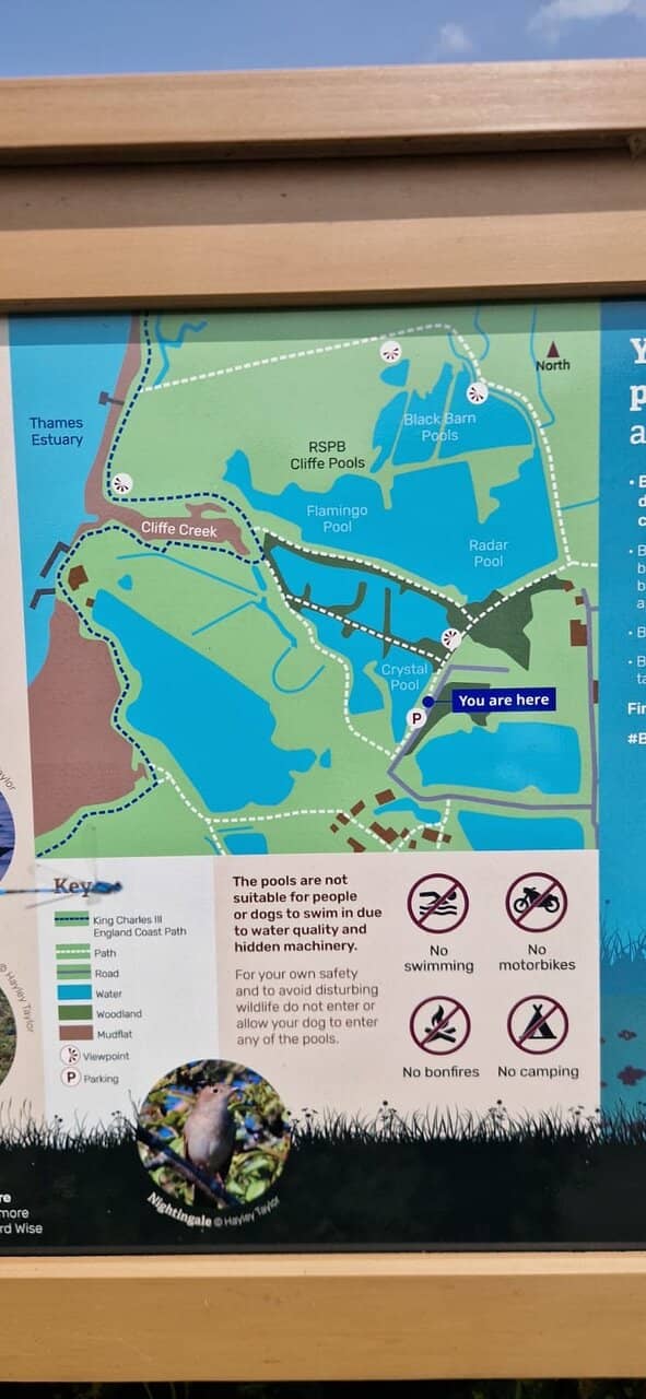 Birdwatching Paradise