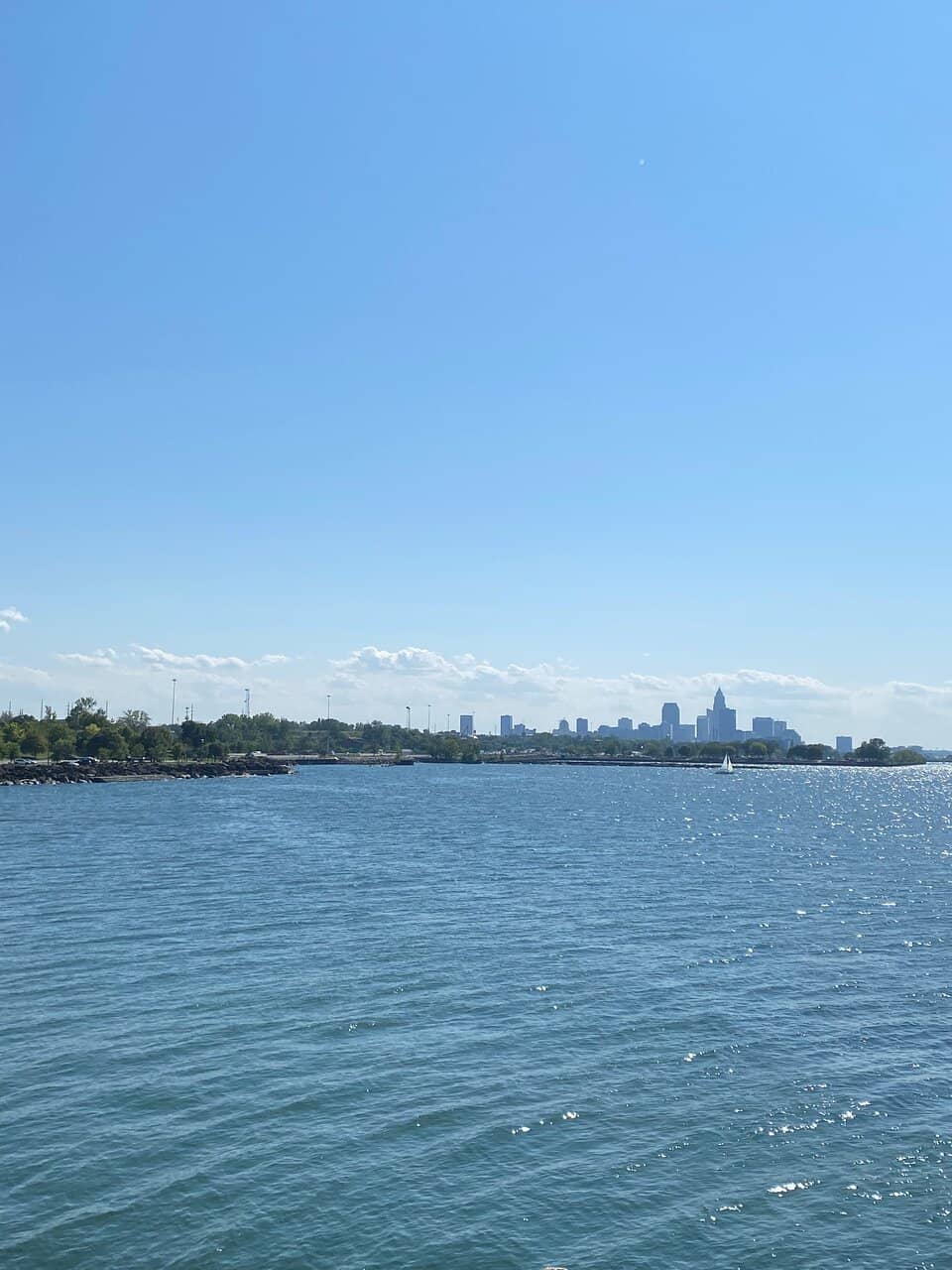 Monarch Butterfly Migration Spot