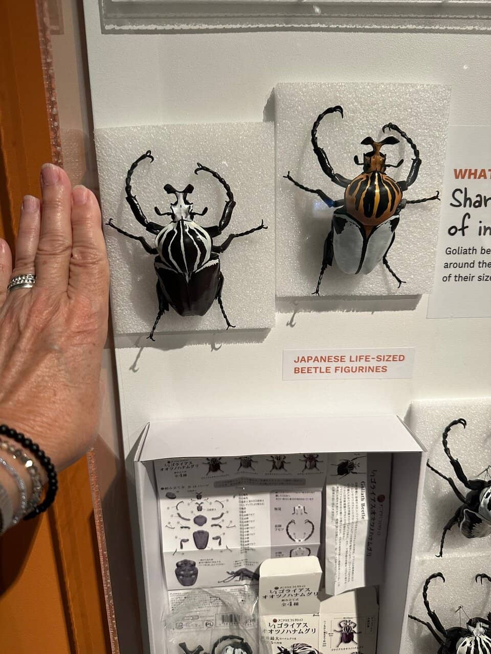 Nebraska Biodiversity