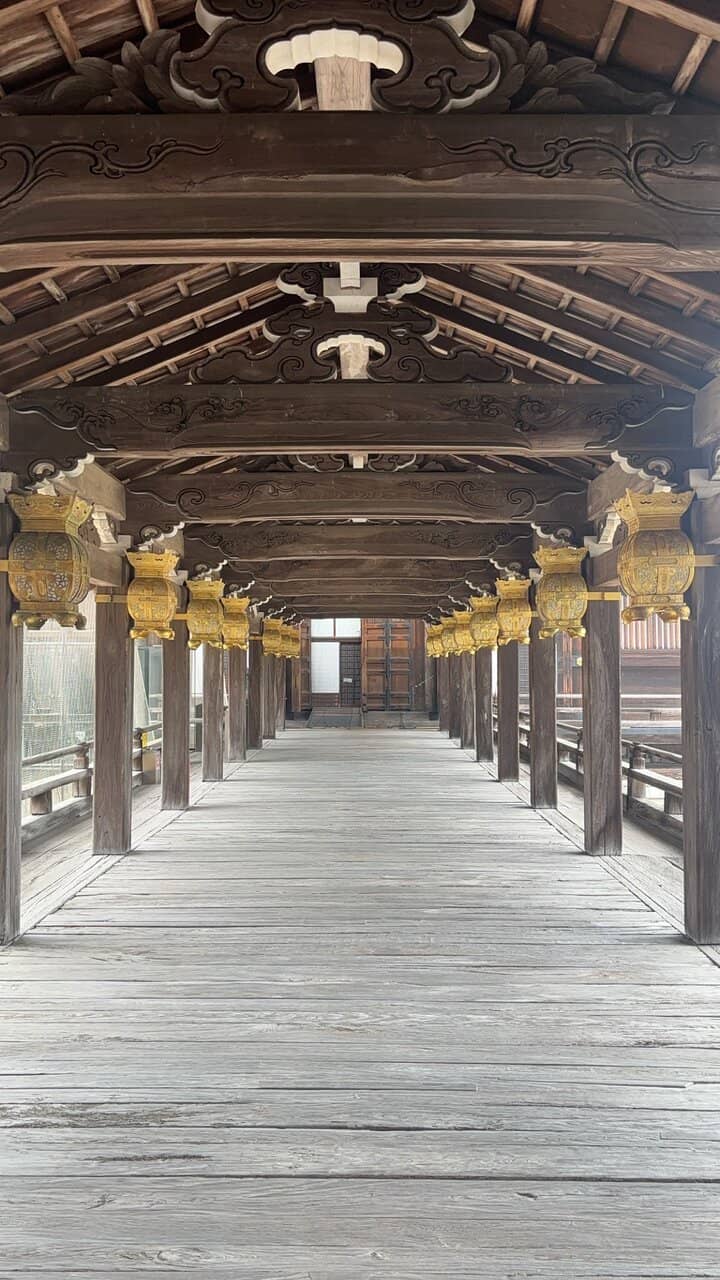 Tranquil Morning Atmosphere