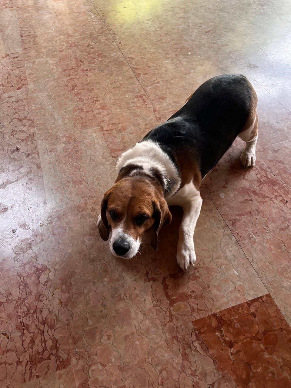 17th Century Tasting Room