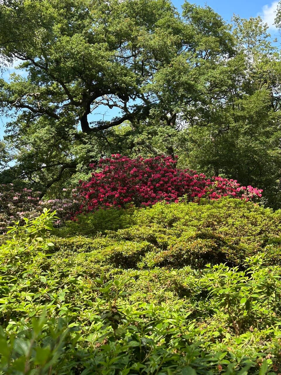 Vertical photo