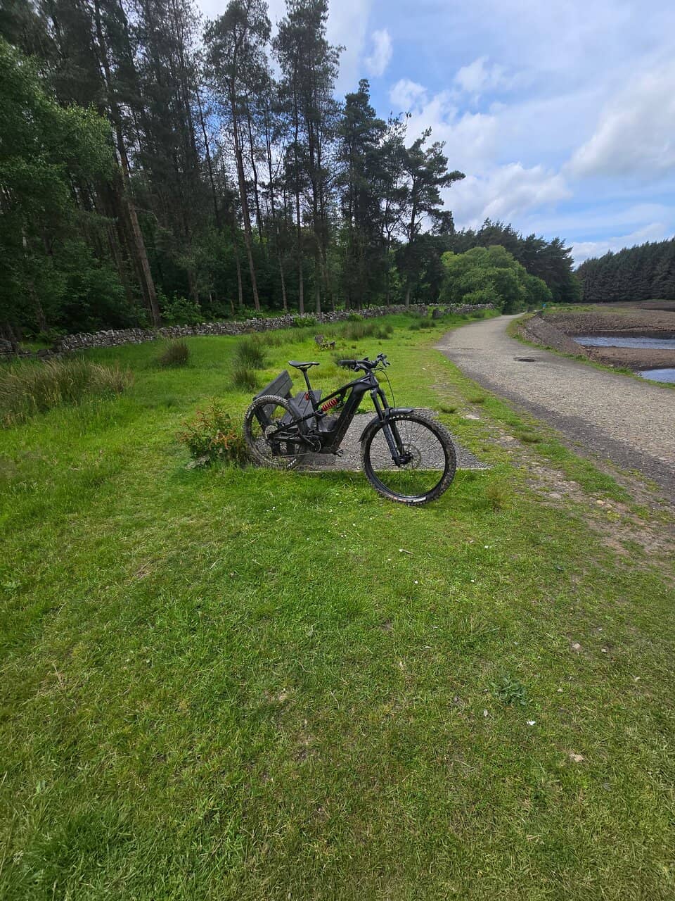 The Strawberry Duck Pub