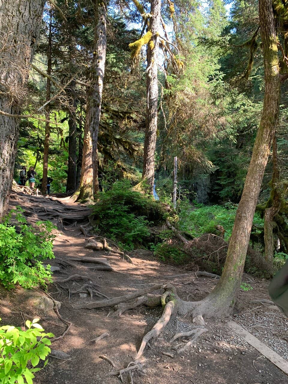 Virgin Creek Falls