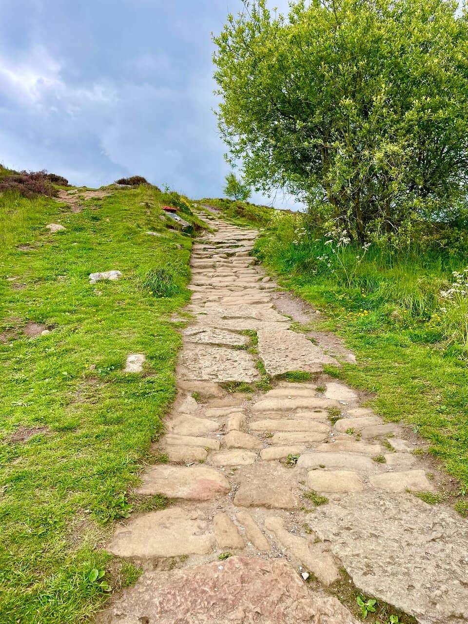 Panoramic Countryside Views