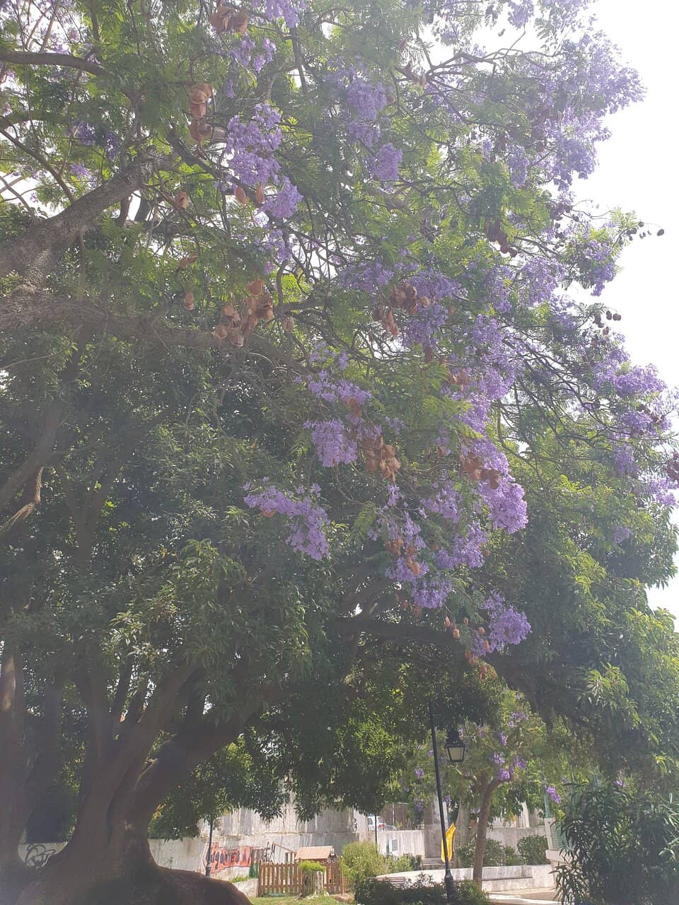 Panoramic Tagus River Views
