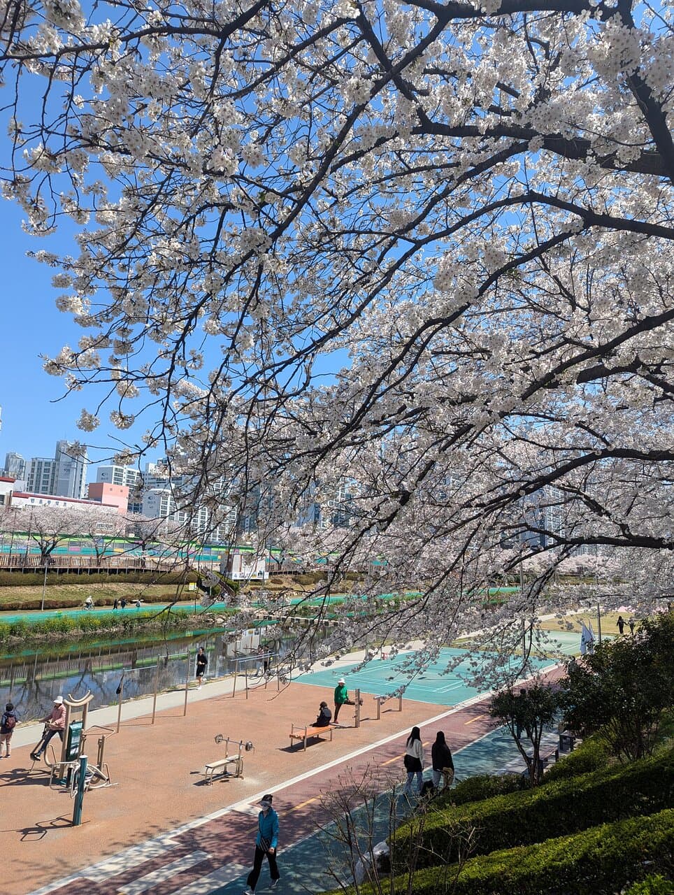Oncheoncheon Stream Park Busan