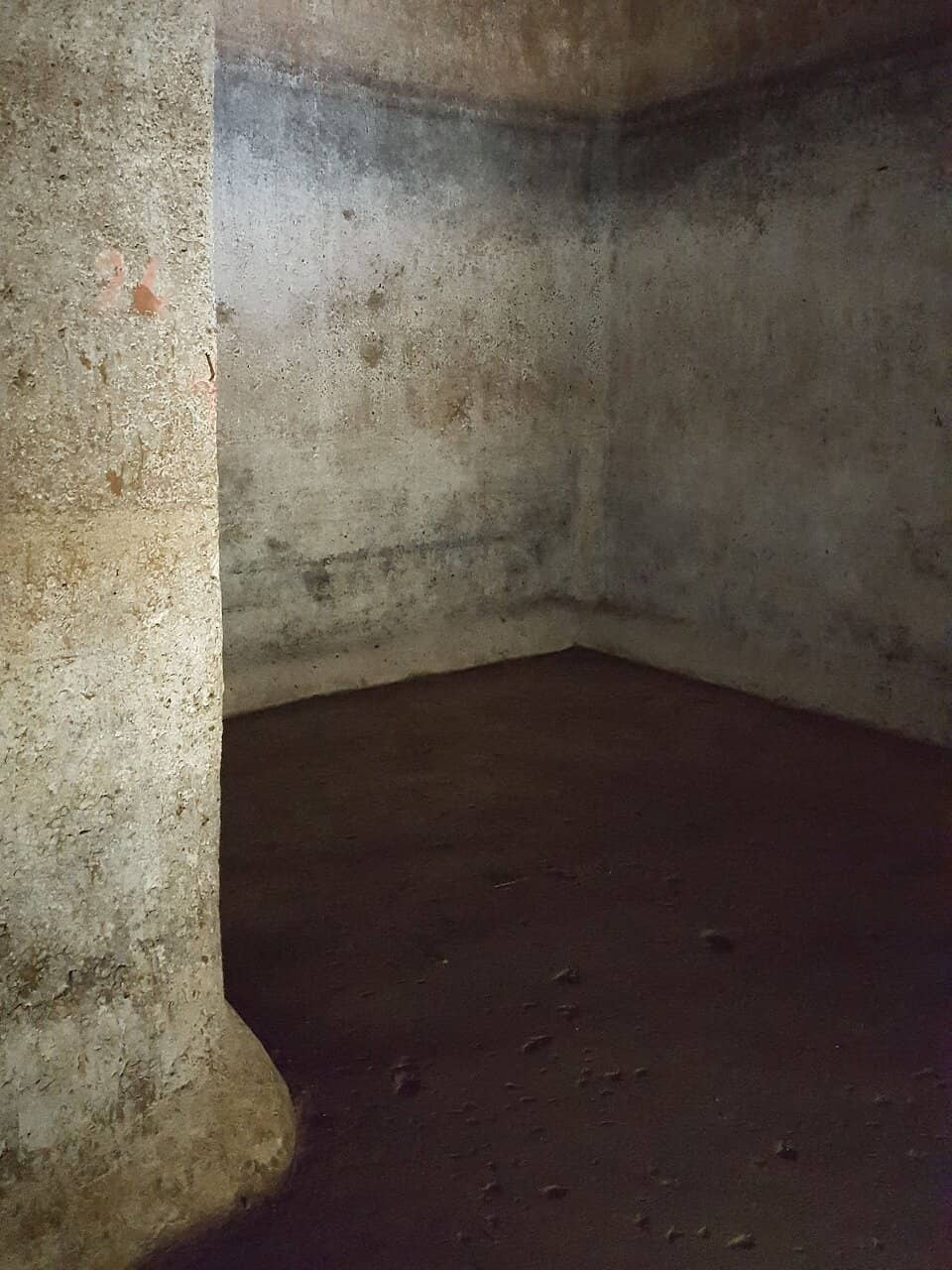 Passionate Guided Tours