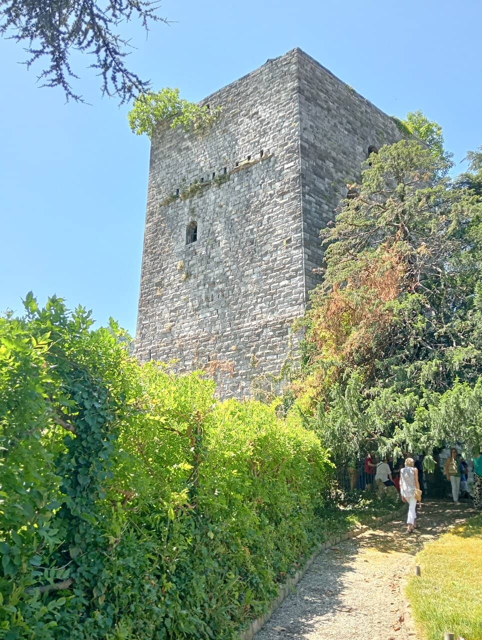 Vertical photo