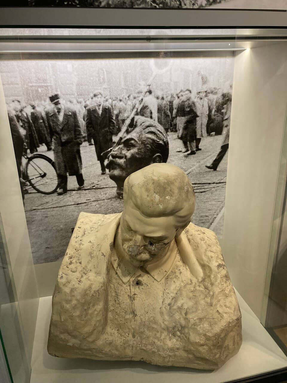 Interactive Displays & Film Screenings