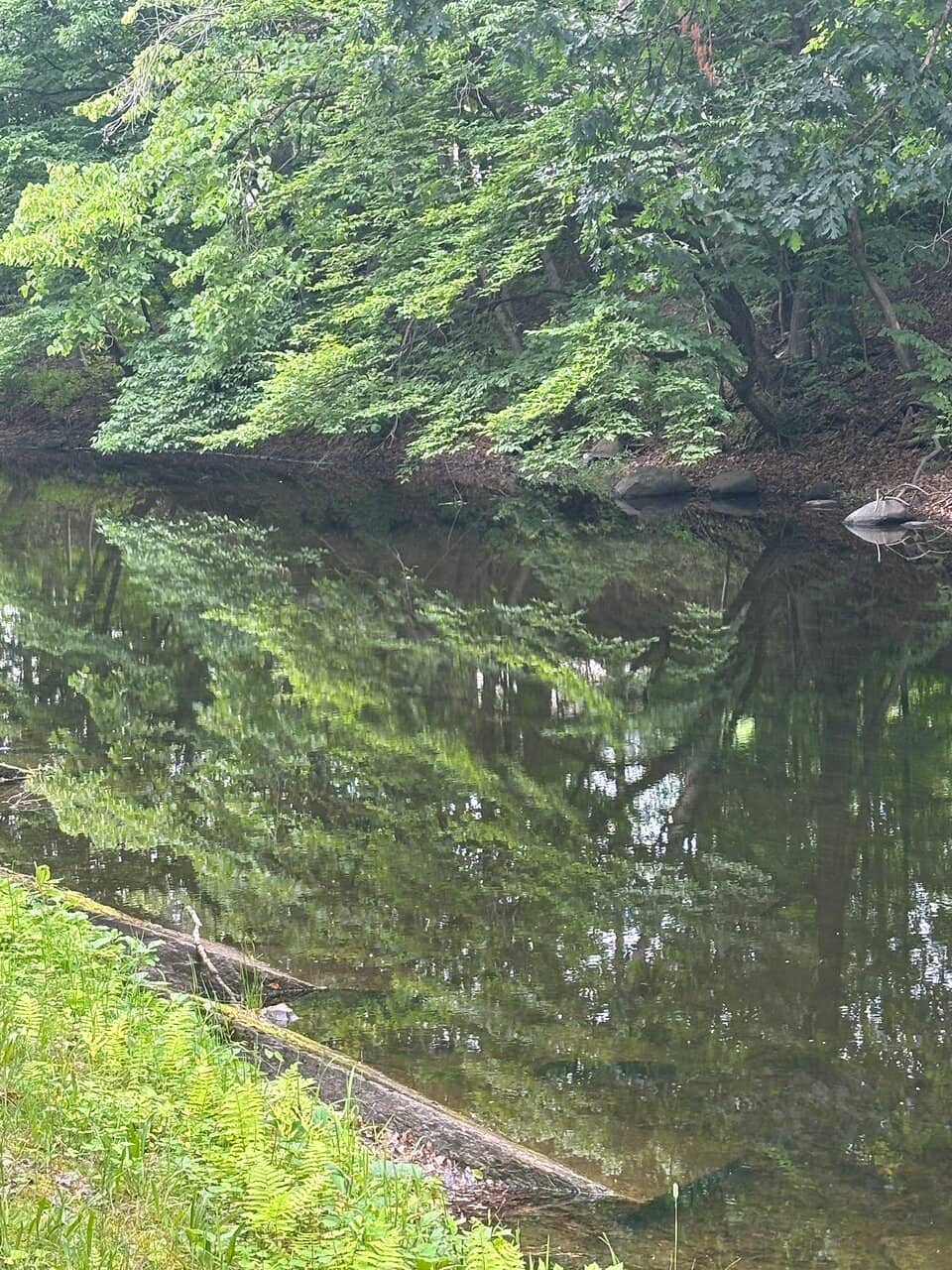 Wildlife Spotting Opportunities