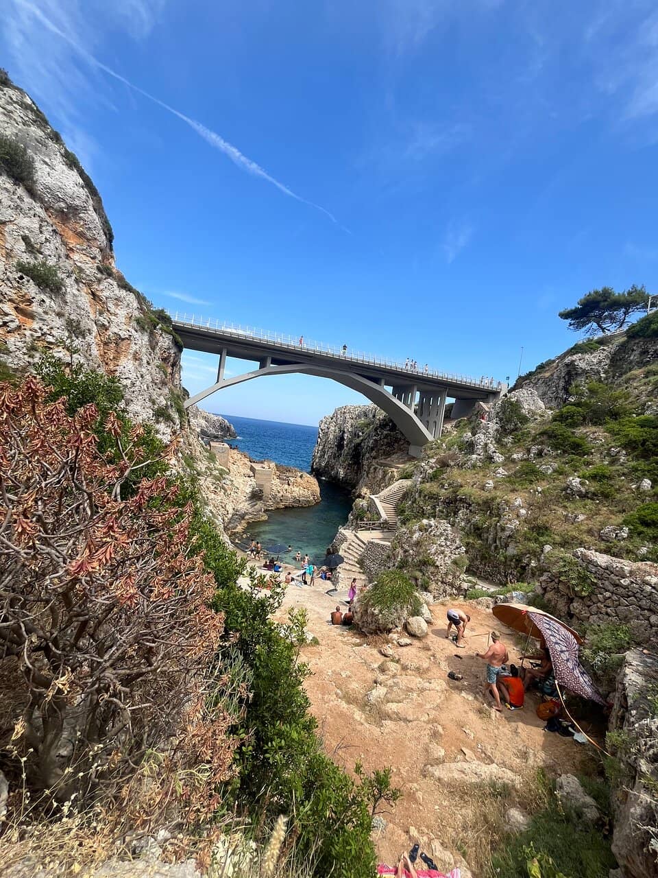 Cliff Diving and Swimming