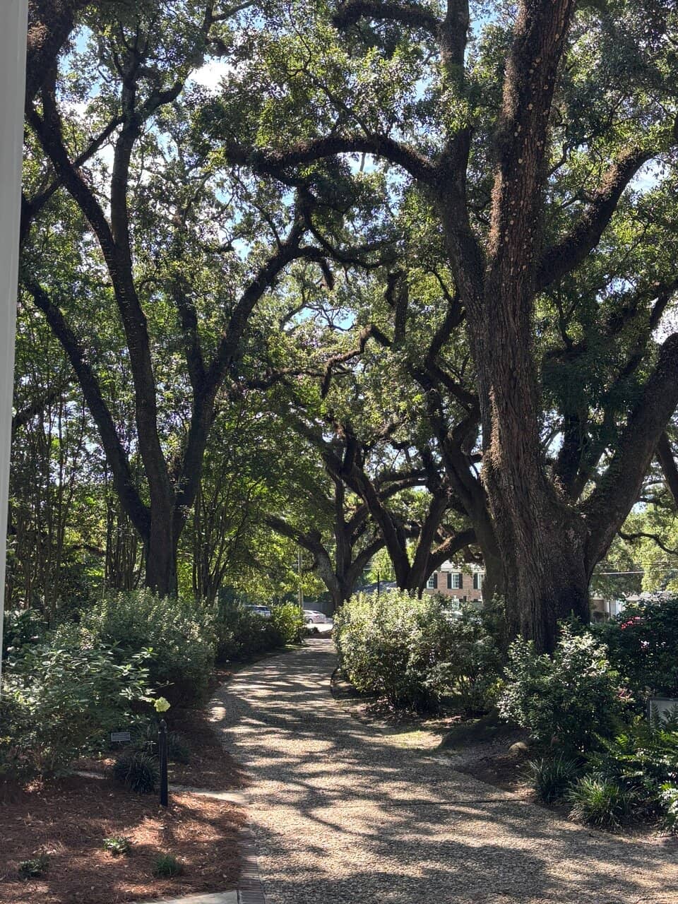 Beautiful Grounds