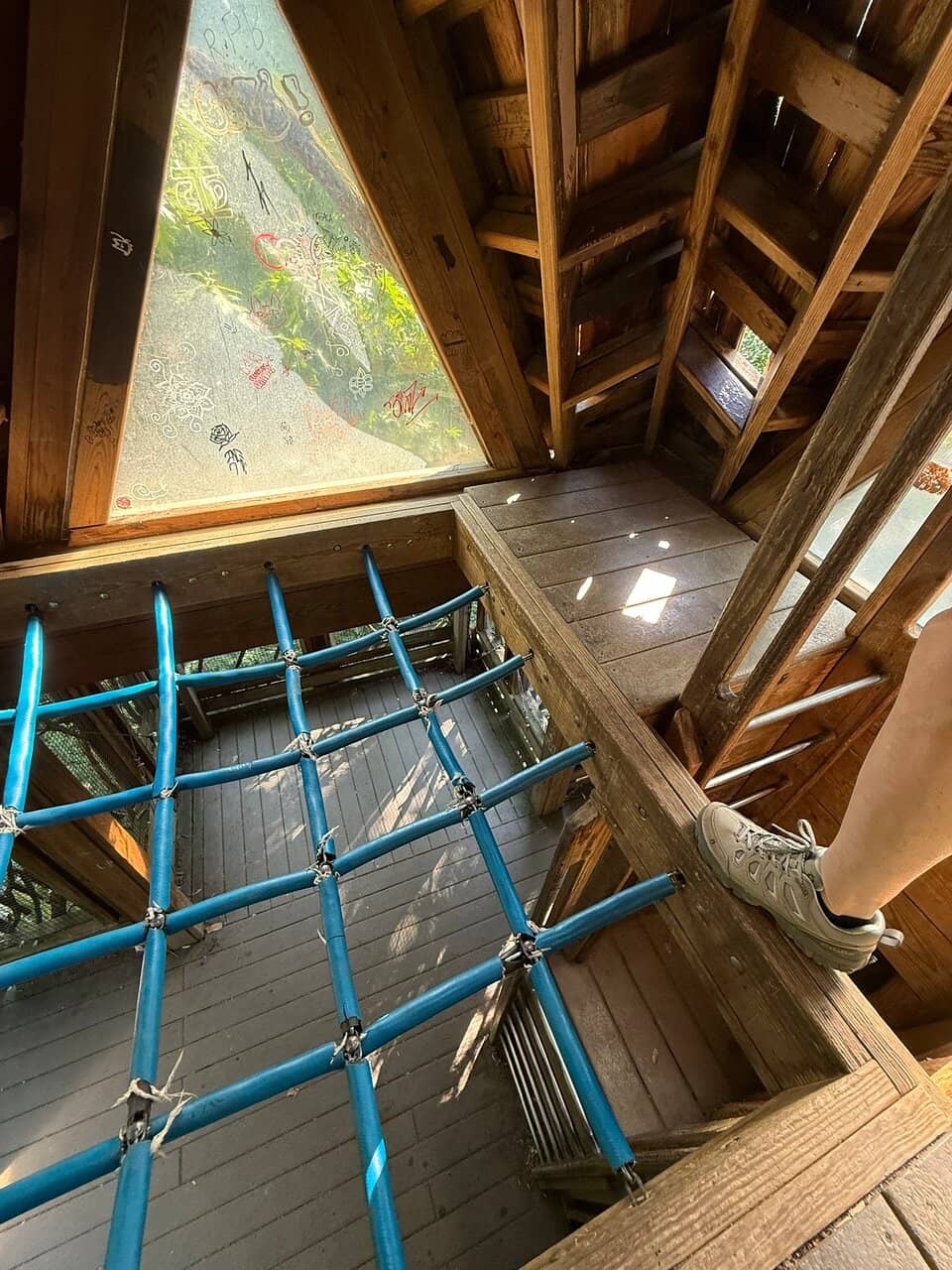 The 6-Story Treehouse